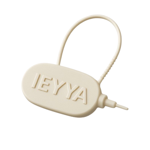 One Time Plastic Lock